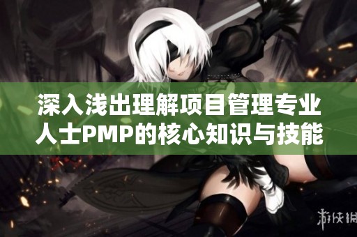 深入浅出理解项目管理专业人士PMP的核心知识与技能