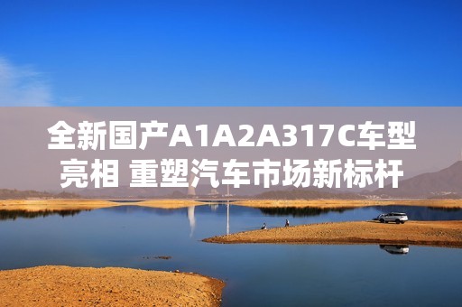 全新国产A1A2A317C车型亮相 重塑汽车市场新标杆