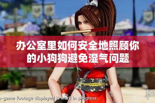 办公室里如何安全地照顾你的小狗狗避免湿气问题