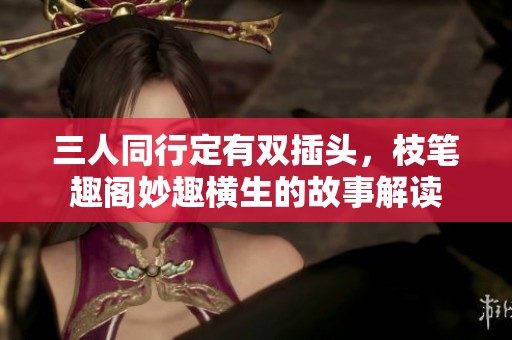 三人同行定有双插头，枝笔趣阁妙趣横生的故事解读