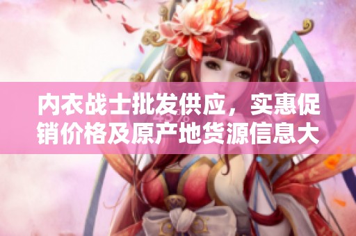 内衣战士批发供应，实惠促销价格及原产地货源信息大揭秘