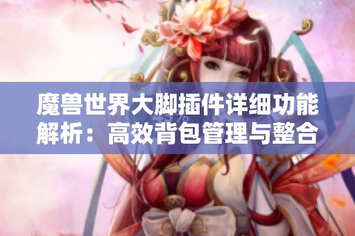 魔兽世界大脚插件详细功能解析：高效背包管理与整合技巧