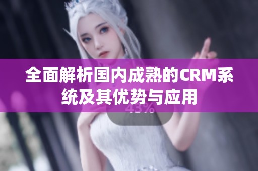 全面解析国内成熟的CRM系统及其优势与应用