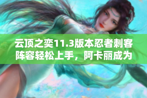 云顶之奕11.3版本忍者刺客阵容轻松上手，阿卡丽成为核心角色