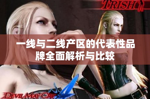 一线与二线产区的代表性品牌全面解析与比较