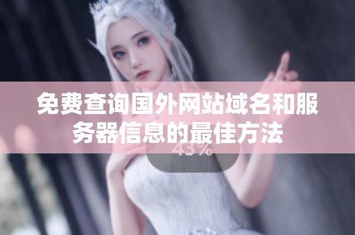 免费查询国外网站域名和服务器信息的最佳方法