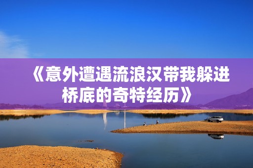 《意外遭遇流浪汉带我躲进桥底的奇特经历》
