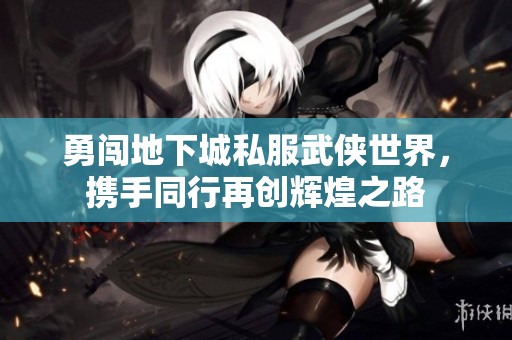 勇闯地下城私服武侠世界，携手同行再创辉煌之路