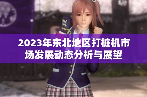 2023年东北地区打桩机市场发展动态分析与展望