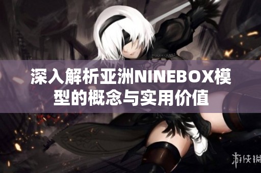 深入解析亚洲NINEBOX模型的概念与实用价值