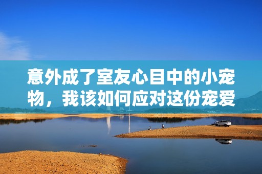 意外成了室友心目中的小宠物，我该如何应对这份宠爱