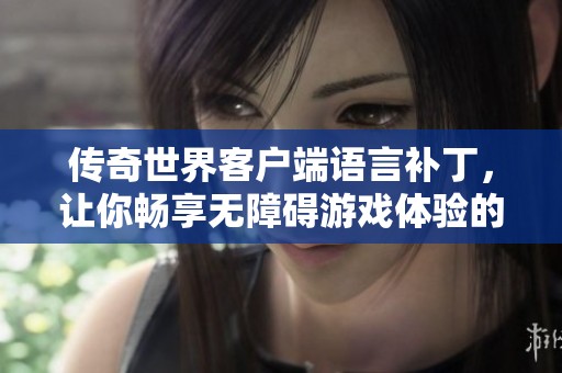 传奇世界客户端语言补丁，让你畅享无障碍游戏体验的必备工具