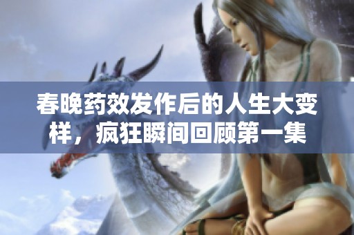 春晚药效发作后的人生大变样，疯狂瞬间回顾第一集