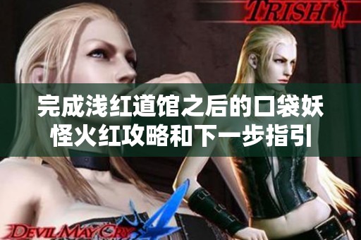 完成浅红道馆之后的口袋妖怪火红攻略和下一步指引
