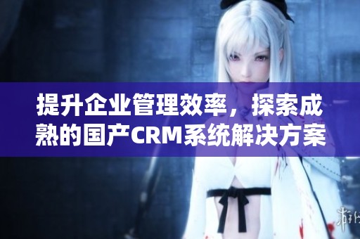 提升企业管理效率，探索成熟的国产CRM系统解决方案