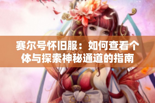 赛尔号怀旧服：如何查看个体与探索神秘通道的指南