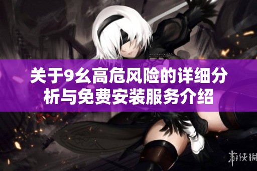关于9幺高危风险的详细分析与免费安装服务介绍