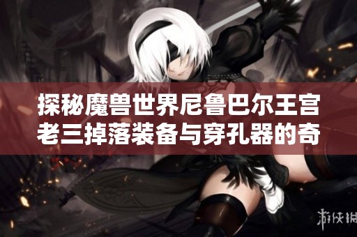 探秘魔兽世界尼鲁巴尔王宫老三掉落装备与穿孔器的奇幻之旅