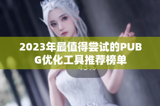 2023年最值得尝试的PUBG优化工具推荐榜单