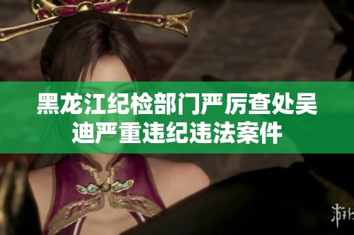 黑龙江纪检部门严厉查处吴迪严重违纪违法案件