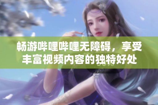 畅游哔哩哔哩无障碍，享受丰富视频内容的独特好处