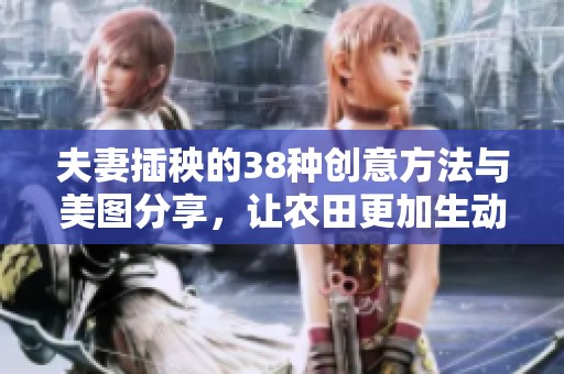夫妻插秧的38种创意方法与美图分享，让农田更加生动