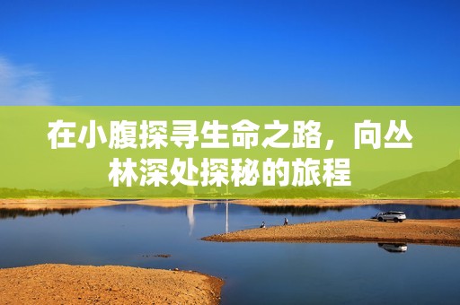 在小腹探寻生命之路，向丛林深处探秘的旅程