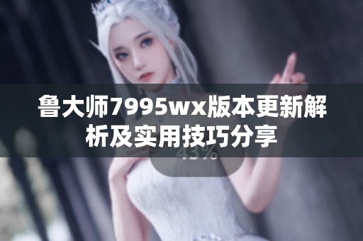鲁大师7995wx版本更新解析及实用技巧分享