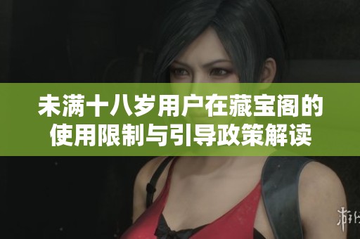 未满十八岁用户在藏宝阁的使用限制与引导政策解读