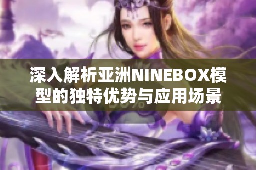 深入解析亚洲NINEBOX模型的独特优势与应用场景