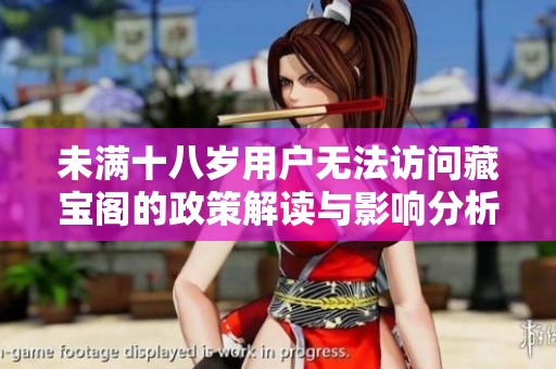 未满十八岁用户无法访问藏宝阁的政策解读与影响分析