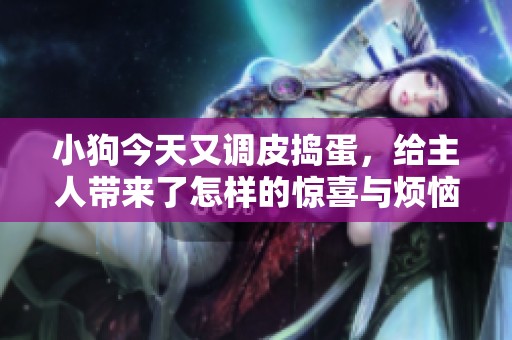 小狗今天又调皮捣蛋，给主人带来了怎样的惊喜与烦恼？
