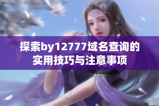 探索by12777域名查询的实用技巧与注意事项