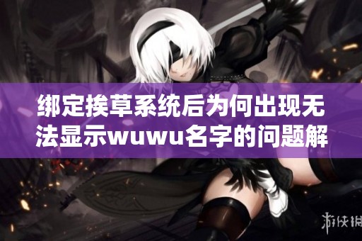绑定挨草系统后为何出现无法显示wuwu名字的问题解析
