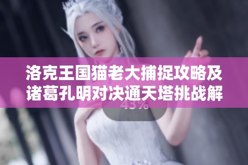 洛克王国猫老大捕捉攻略及诸葛孔明对决通天塔挑战解析