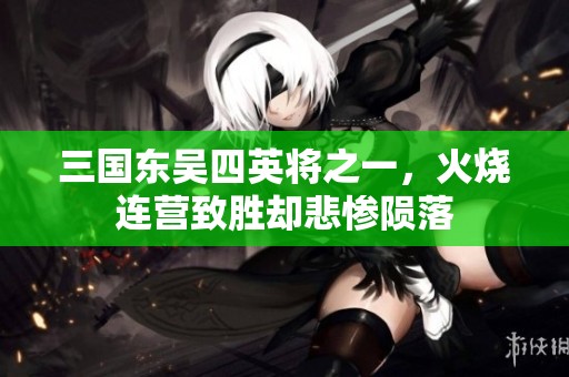 三国东吴四英将之一，火烧连营致胜却悲惨陨落
