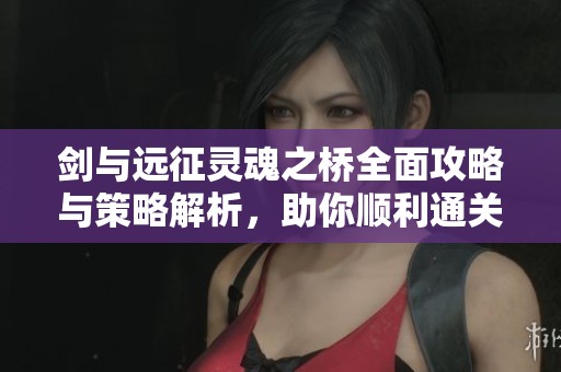 剑与远征灵魂之桥全面攻略与策略解析，助你顺利通关