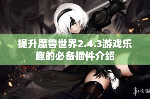 提升魔兽世界2.4.3游戏乐趣的必备插件介绍