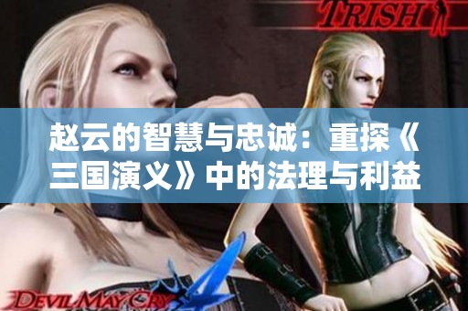赵云的智慧与忠诚：重探《三国演义》中的法理与利益平衡