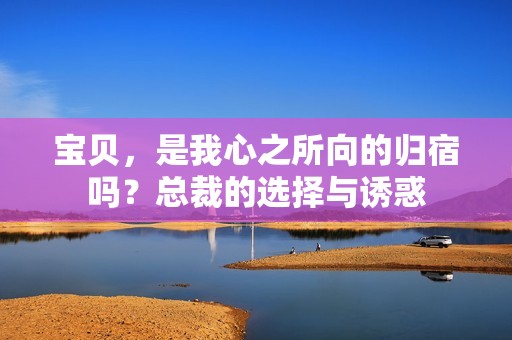 宝贝，是我心之所向的归宿吗？总裁的选择与诱惑