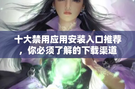 十大禁用应用安装入口推荐，你必须了解的下载渠道