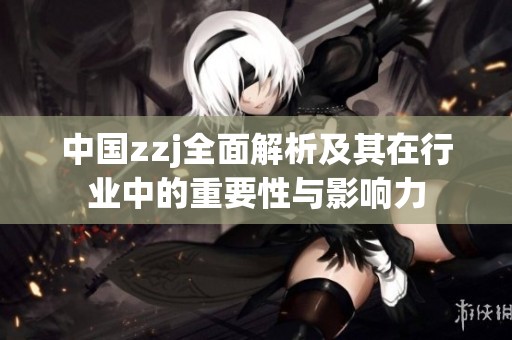 中国zzj全面解析及其在行业中的重要性与影响力