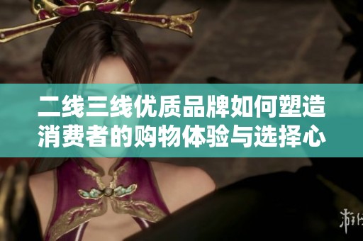 二线三线优质品牌如何塑造消费者的购物体验与选择心理