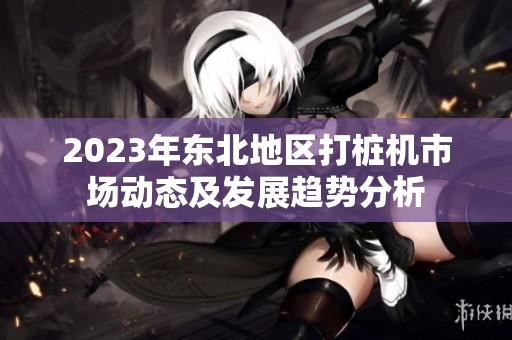 2023年东北地区打桩机市场动态及发展趋势分析