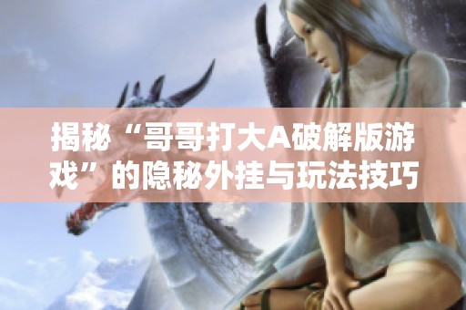 揭秘“哥哥打大A破解版游戏”的隐秘外挂与玩法技巧
