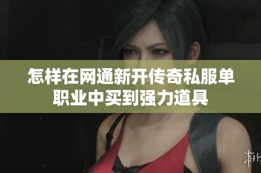 怎样在网通新开传奇私服单职业中买到强力道具