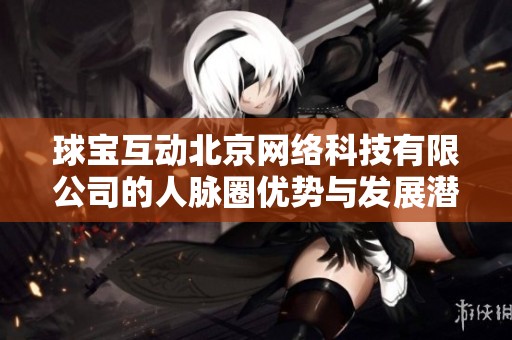 球宝互动北京网络科技有限公司的人脉圈优势与发展潜力分析