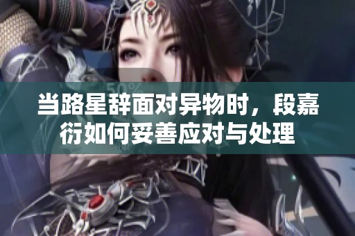 当路星辞面对异物时，段嘉衍如何妥善应对与处理