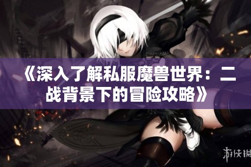 《深入了解私服魔兽世界：二战背景下的冒险攻略》