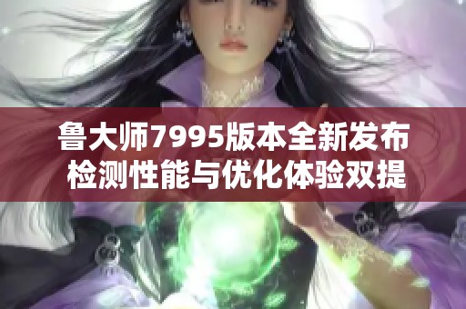 鲁大师7995版本全新发布 检测性能与优化体验双提升